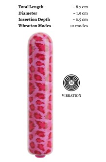 Mini Vibrator Leo 5406404 6