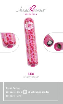 Mini Vibrator Leo 5406404 7