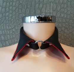 Sinaïda 43 CD950RN90 1