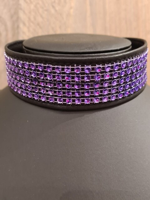 Collar Paarse Strass Nekstrass Paars
