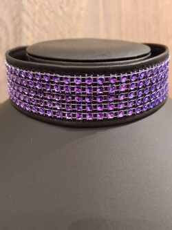 Collar Paarse Strass Nekstrass Paars 1