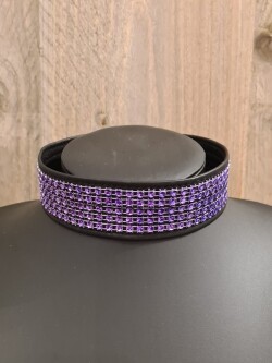 Collar Paarse Strass Nekstrass Paars 2