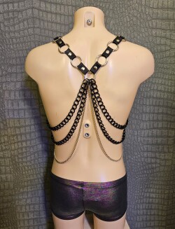 Kettingen Harnas Tuig08 zwart-zilver 2