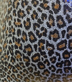 Leopard Shorts UN580 2