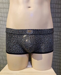 Leopard Shorts UN580