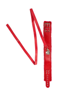 Rode Collar Circus 1085-02