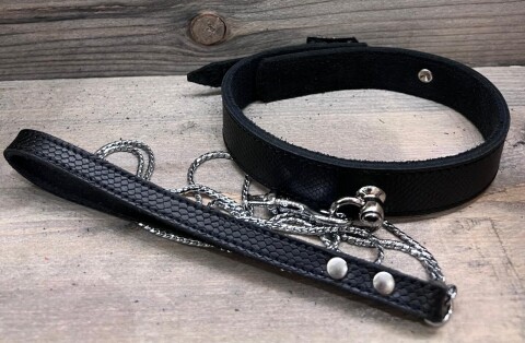 Collar Snake met Aanlijnketting l.u.c.17