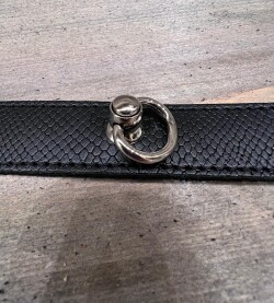 Collar Snake l.u.c.23 2