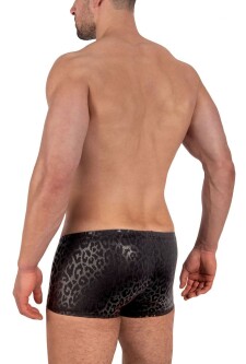 Leopard Micro Pants 2-12343 5