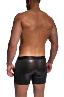 Hip Boxer 2485 2-12799 4