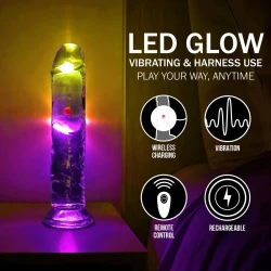 Led-Dildo 7" REA204TRA 4