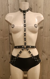 Hip Collar Harnas r2p-3016