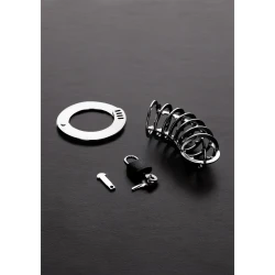 Spiked Chasity Cage TMS-1325 2